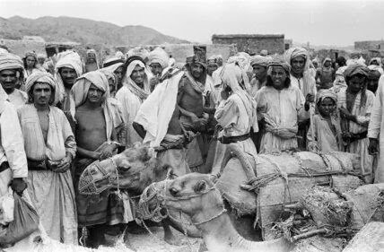 قبيلة غامد في السعودية | النسب والتاريخ ومواطنها وأعلامها