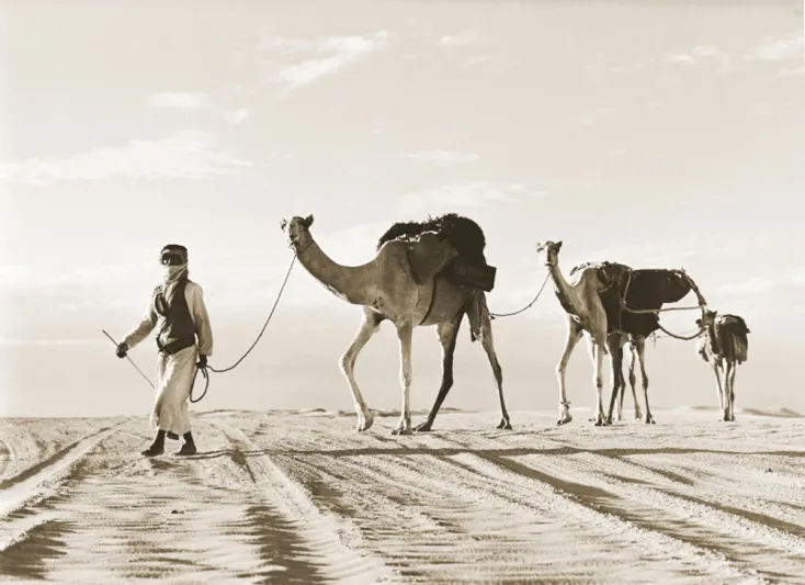 أكبر قبائل الإمارات | التاريخ النسب عدد أفراد كل قبيلة