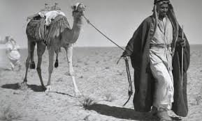 قبيلة بني عامر في السعودية | نسبها وتاريخها وأعلامها