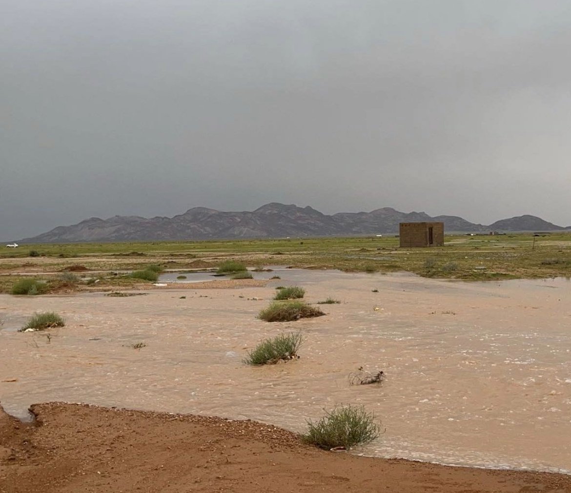 يوم شعب جبلة في الجاهلية | كيف مات لقيط بن زرارة؟