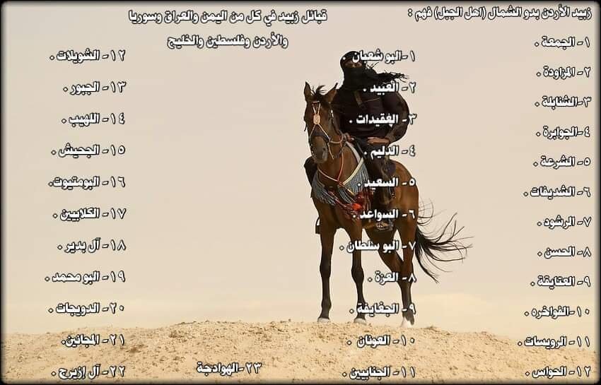 قبيلة الزبيد في سوريا | العشائر التي ترجع إلى زبيد