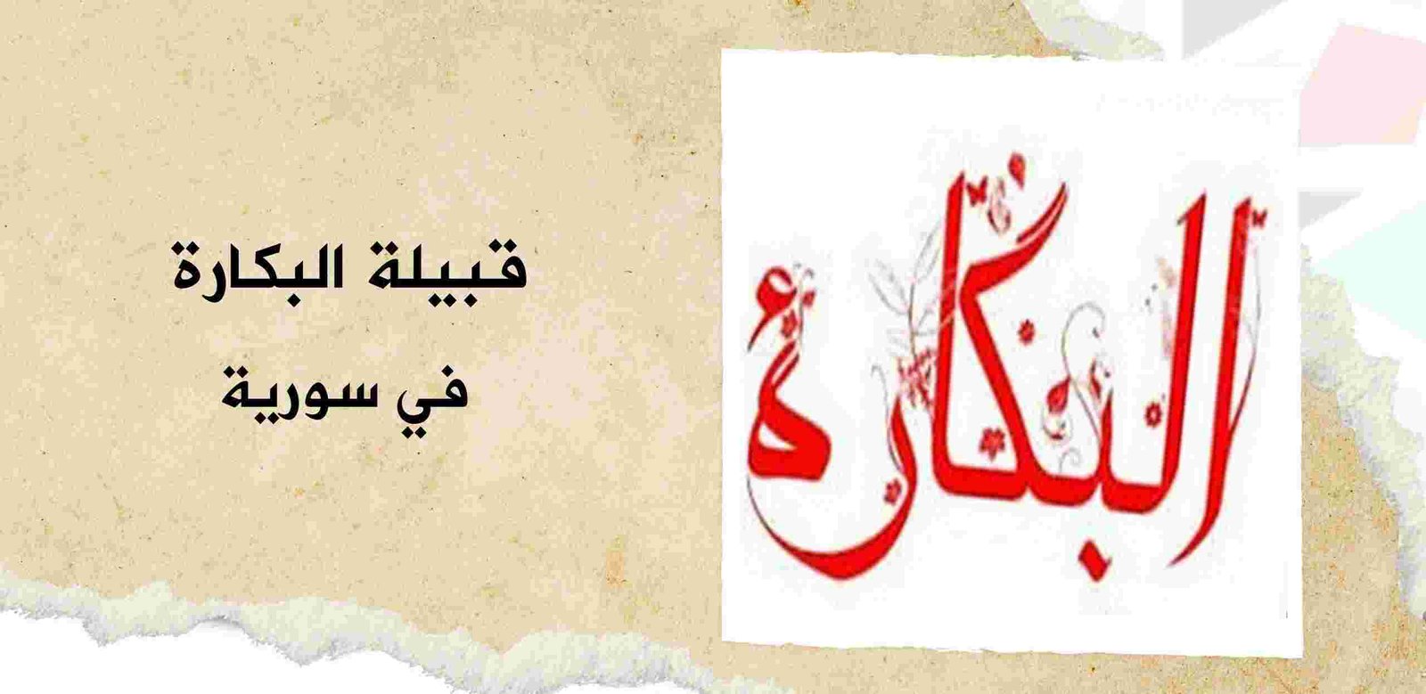 قبيلة البكارة في سوريا | نسب وانتشار وعدد أفراد القبيلة